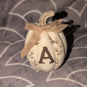 ❤️‍🔥10/$10❤️‍🔥 Decorative White Pumpkin with Letter A Initial
